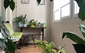 Specious Modern Apartment